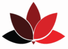cropped cropped cropped logo 1.png
